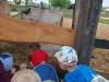 IMG20250603093020-Copy