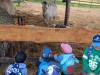 IMG20250603093026-Copy