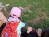 IMG20250603094146-Copy