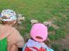 IMG20250603094148-Copy