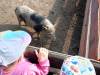IMG20250603094403-Copy