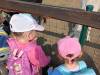 IMG20250603094634-Copy