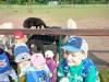 IMG20250603094646-Copy