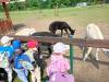 IMG20250603094649-Copy