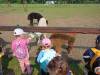 IMG20250603094652-Copy