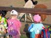 IMG20250603094656-Copy