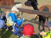 IMG20250603094700-Copy
