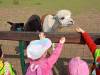 IMG20250603094711-Copy