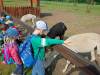 IMG20250603094738-Copy
