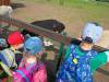 IMG20250603094744-Copy