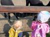 IMG20250603094802-Copy
