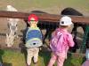 IMG20250603094827-Copy