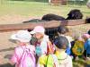 IMG20250603094832-Copy