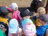 IMG20250603095037-Copy