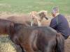 IMG20250603095134-Copy