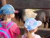 IMG20250603095245-Copy