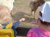 IMG20250603095339-Copy
