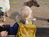 IMG20250603095341-Copy