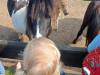 IMG20250603095352-Copy