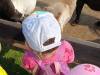 IMG20250603095416-Copy