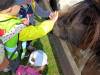 IMG20250603095419-Copy