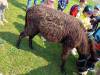 IMG20250603100204-Copy