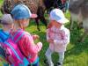 IMG20250603100209-Copy