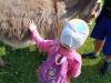IMG20250603100214-Copy