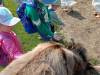 IMG20250603100254-Copy