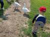 IMG20250603100259-Copy