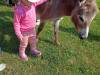 IMG20250603100311-Copy