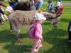 IMG20250603100316-Copy