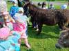 IMG20250603100326-Copy