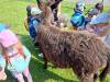 IMG20250603100329-Copy