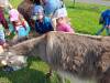 IMG20250603100335-Copy