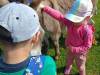 IMG20250603100358-Copy