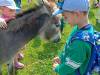 IMG20250603100401-Copy