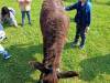 IMG20250603100410-Copy