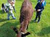 IMG20250603100413-Copy