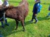 IMG20250603100418-Copy