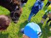 IMG20250603100515-Copy