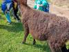 IMG20250603100533-Copy