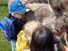 IMG20250603100541-Copy