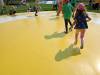 IMG20250603102338-Copy