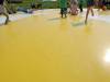 IMG20250603102339-Copy