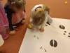 IMG-20250207-WA0016-Copy