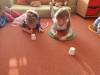 IMG-20250207-WA0023-Copy