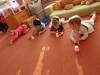 IMG-20250207-WA0028-Copy