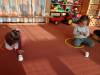 IMG-20250207-WA0032-Copy