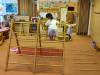 IMG_20250207_081418-Copy